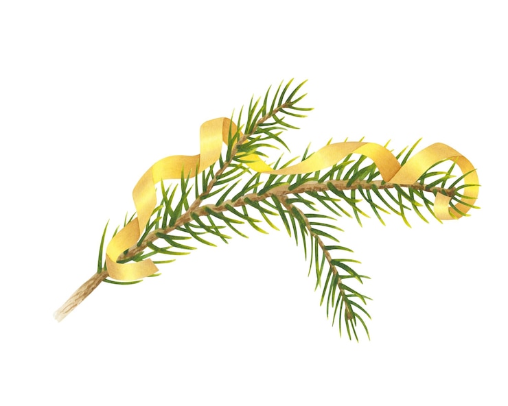 Foto spruce-tannenzweig, geschmückt mit goldenem serpentine-band, girlande, aquarell-illustration