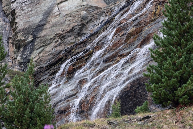 Foto spruces hierbas alpinas contra granito amplia cascada de montaña cascada cogne valle de aosta