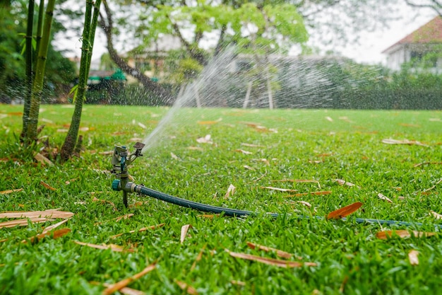 Foto sprühen sie spritzwasser auf das gras