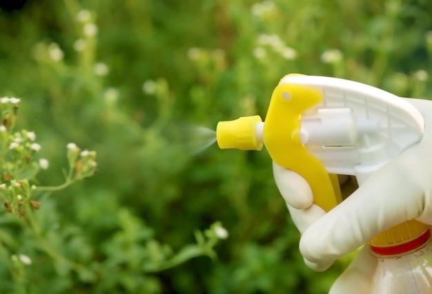 Sprühen von Insektiziden in einem Garten