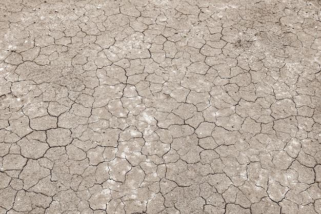 Sprungbodenbeschaffenheit im Sommer