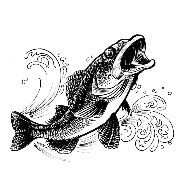 Sprungfisch Handgezeichnete schwarz-weiße Zeichnung in Retro-Stil