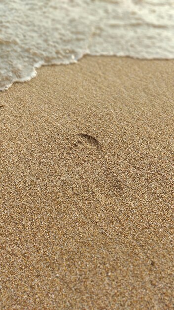 Spuren im Sand am Meer. Sommerurlaub