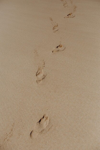 Foto spuren im sand am strand