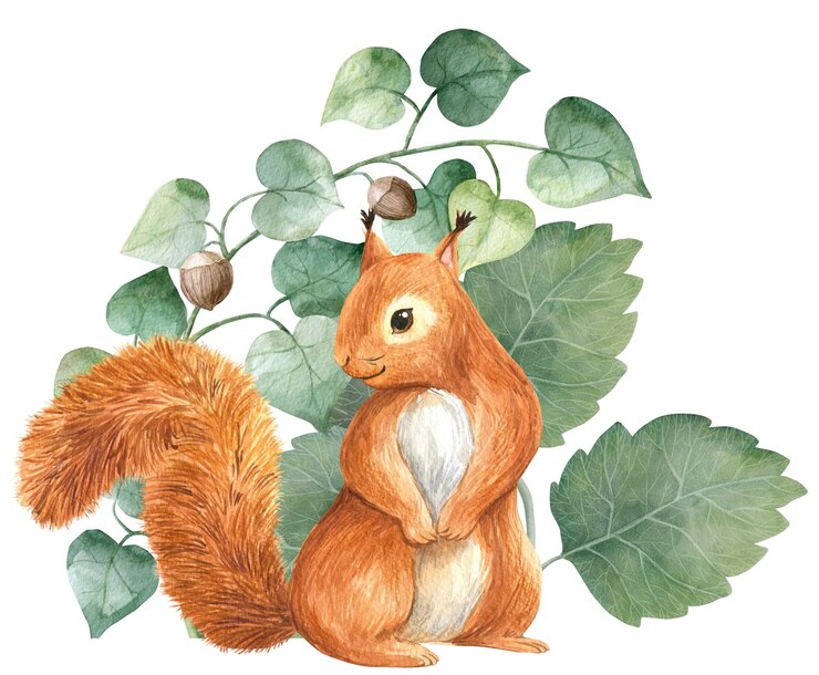 Squirrel Woodland stories ilustração em aquarela