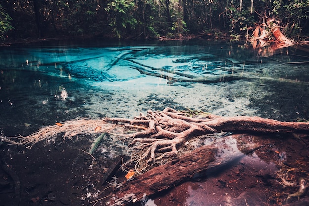 Sra Morakot Blue Pool in der Provinz Krabi, Thailand. Klarer Smaragdteich im tropischen Wald. Die Wurzeln von Bäumen mit einer wunderschönen Lagune im Regenwald. Toning im Retro- und Vintage-Stil überkreuzt