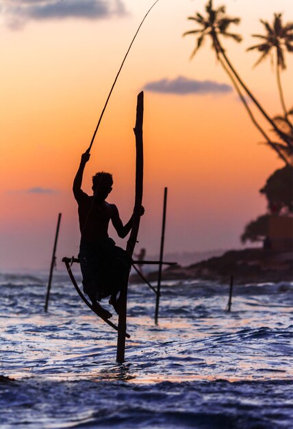 Sri Lanka, berühmte traditionelle Stockfischer über Sonnenuntergang in Welligama