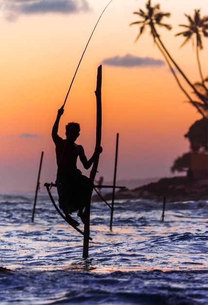 Sri lanka, famoso palo tradicional: pescadores durante la puesta de sol en Welligama