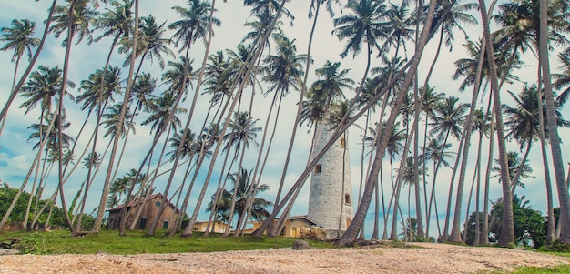 Sri Lanka ist eine Insel mit einem Leuchtturm