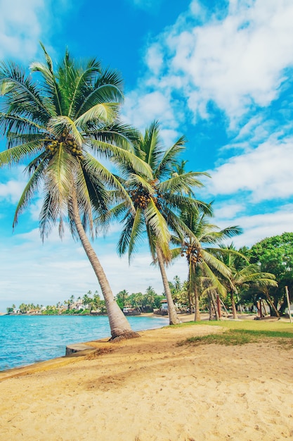 Sri Lanka, oceano, praia de Beruwala.