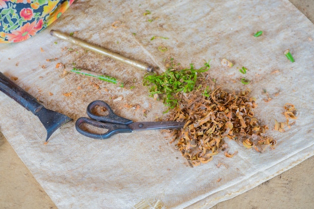 Sri Lanka. Produção de canela.