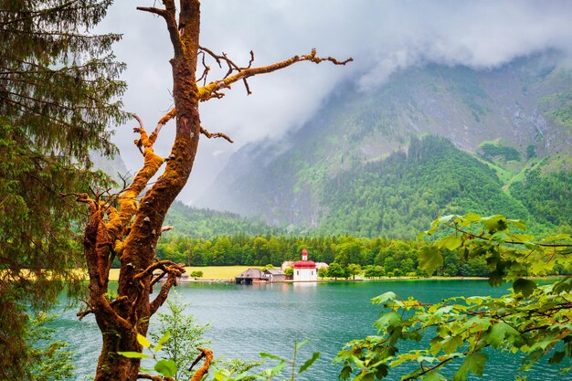 Foto st. bartholomew oder st. bartholomae ist eine römisch-katholische kirche am konigssee in bayern, deutschland.