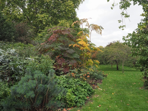 St James's Park em Londres