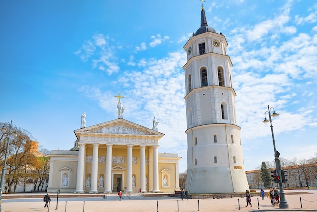 St. Stanislaus-Kathedrale auf dem Domplatz mit Denkmal für Großherzog Gediminas in Vilnus