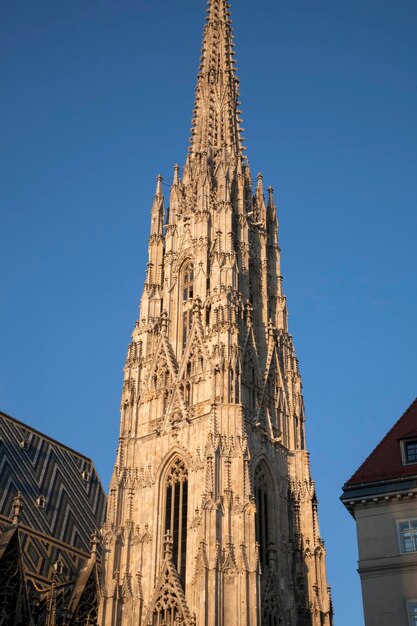 Foto st stephen's cathedral stephansdom turmspitze in wien österreich