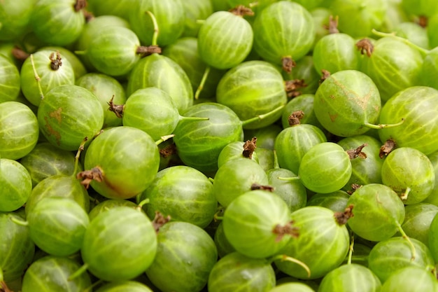 Stachelbeere grüne Beeren Essen Hintergrund. Frische reife Sommerbeeren