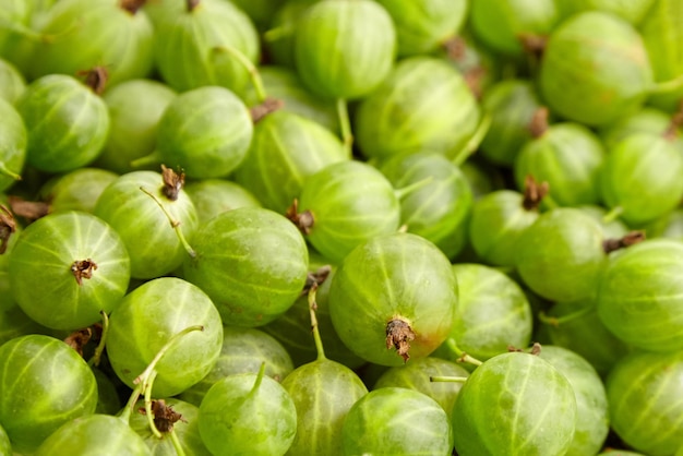 Stachelbeere grüne Beeren Essen Hintergrund Frische reife Sommerbeeren