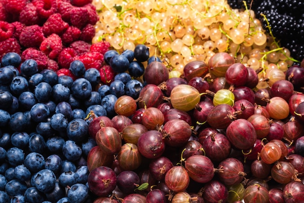 Stachelbeeren, Blaubeeren, Maulbeeren, Himbeeren, weiße und rote Johannisbeeren