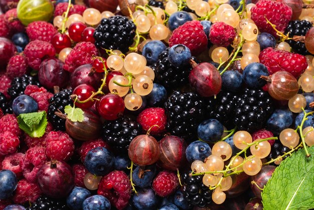 Stachelbeeren Heidelbeeren Maulbeere Himbeeren weiße und rote Johannisbeeren Hintergrund