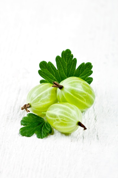 Stachelbeeren mit Blättern