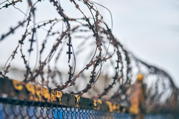 Stacheldraht am Zaun des Sperrgebiets