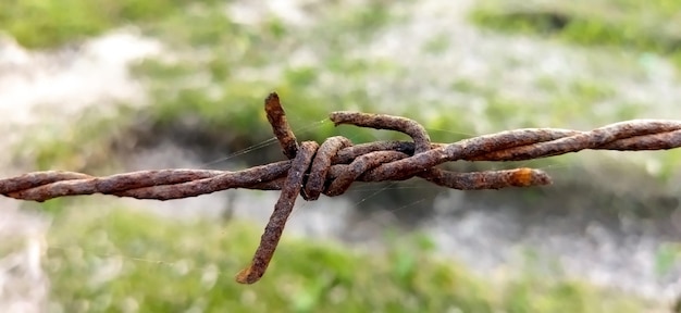 Foto stacheldraht auf einem bauernhofzaun