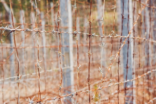 Foto stacheldraht ein zaun im gefängnis gefängniskonzept