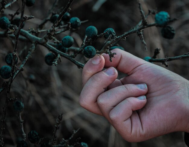 Stacheldraht in der Hand