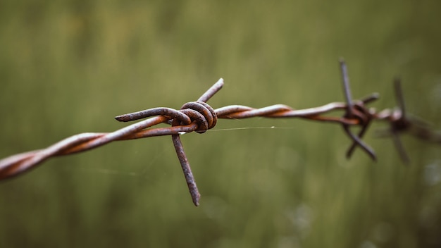 Stacheldraht. Stacheldraht auf Zaun, zum des sich Sorgen machenden Konzeptes zu glauben