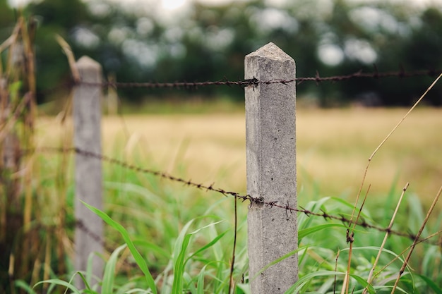 Stacheldrahtzaun und ländlicher Rasen oder Corral für Nutztiere mit Bokeh-Unschärfenaturhintergrund.