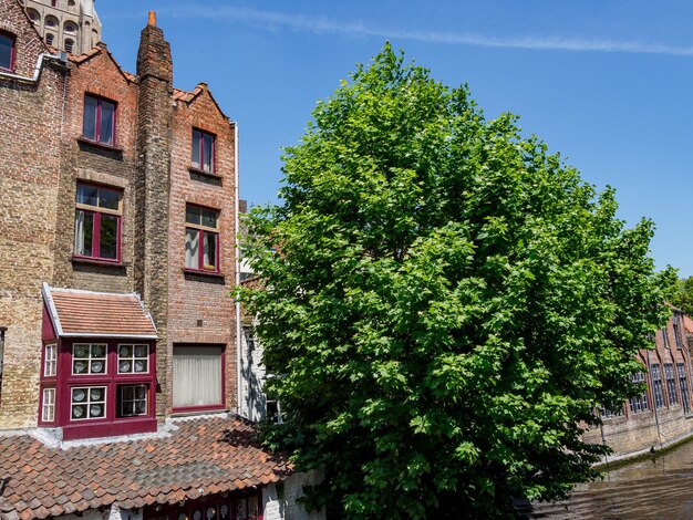 Foto stadt brugge in belgien.