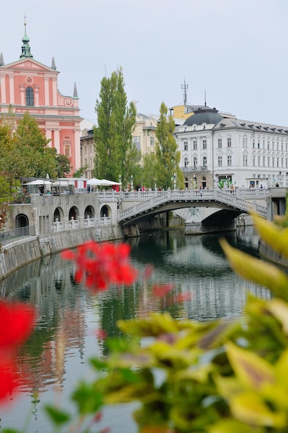 Stadt Ljubljana, Hauptstadt Sloweniens mit alter Brückenblume und Fluss
