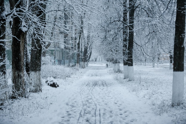 Stadtansicht, Schneewetter, Winterstraßen der Stadt