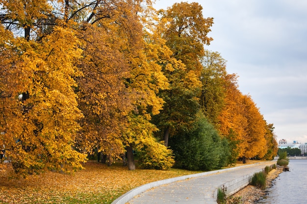 Stadtfluss Herbstparklandschaft Üppiges gelbes Laub