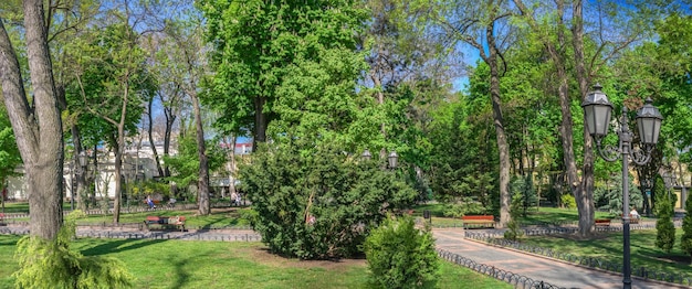 Stadtgarten in Odessa während des Krieges in der Ukraine