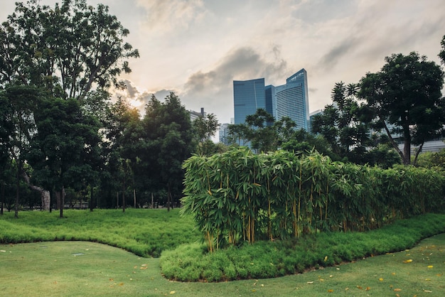 Stadtpark an sonnigen Sommertagen Wahrzeichen der Stadt