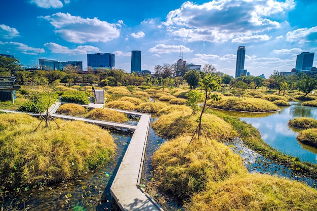 stadtpark iandscape hintergrund