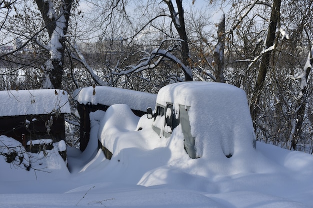 Stadtpark im Winter geschneit