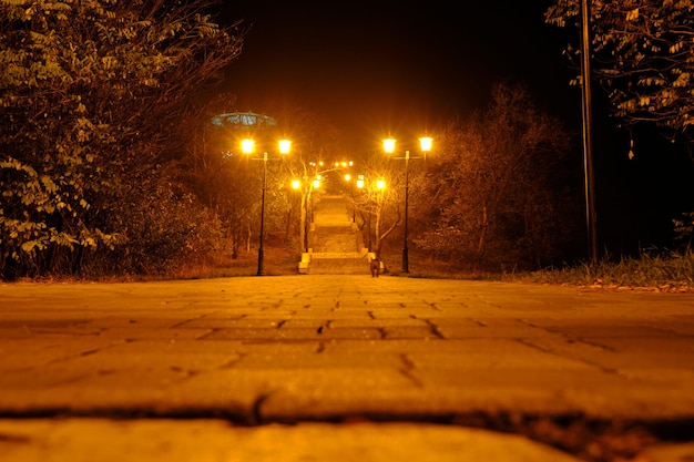 Foto stadtpark in der nacht