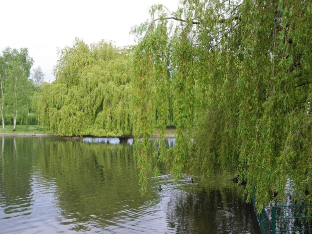 Stadtpark in London