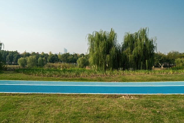 Foto stadtpark mit gras und wäldern