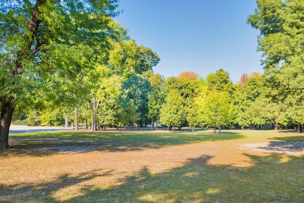 Stadtpark mit grünem Rasen, großen Bäumen und ruhenden Menschen