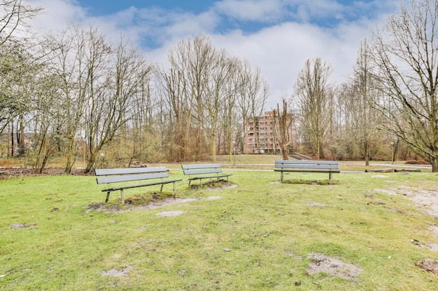 Stadtpark mit modernem Gebäudehintergrund