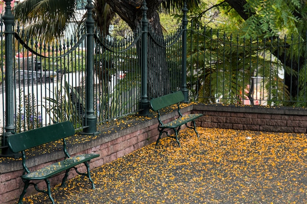 Stadtpark Santa Catarina