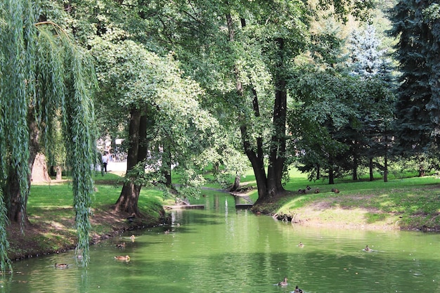 Stadtpark von Minsk, Weißrussland, benannt nach Maxim Gorki