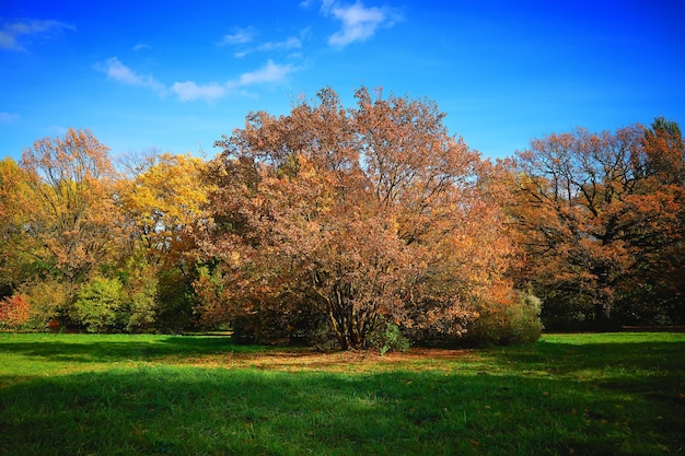 Stadtpark während der Herbstzeit Landschaft