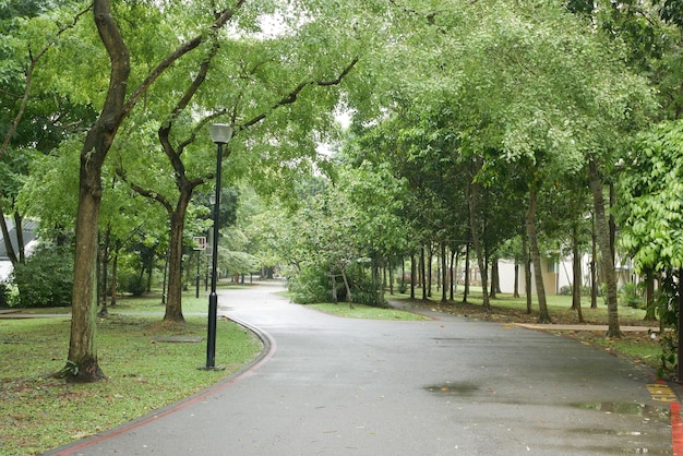 Stadtparks mit Walkaway am frühen Morgen