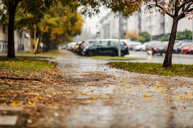 Stadtstraße während des regnerischen Herbsttages