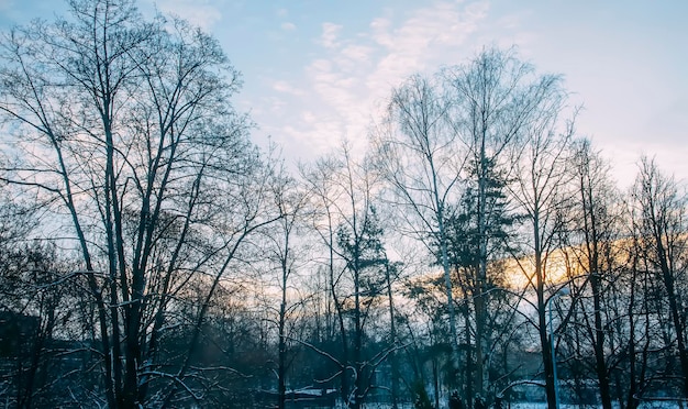 Städtische Winterlandschaft