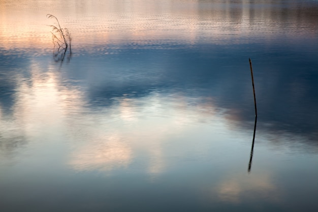 Stämme im Wasser mit Himmelsreflexionen